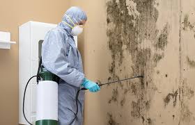 East Peoria, IL Mold Inspection Company